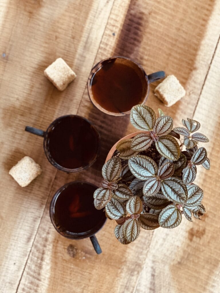 Ginger Tea in Coconut cups